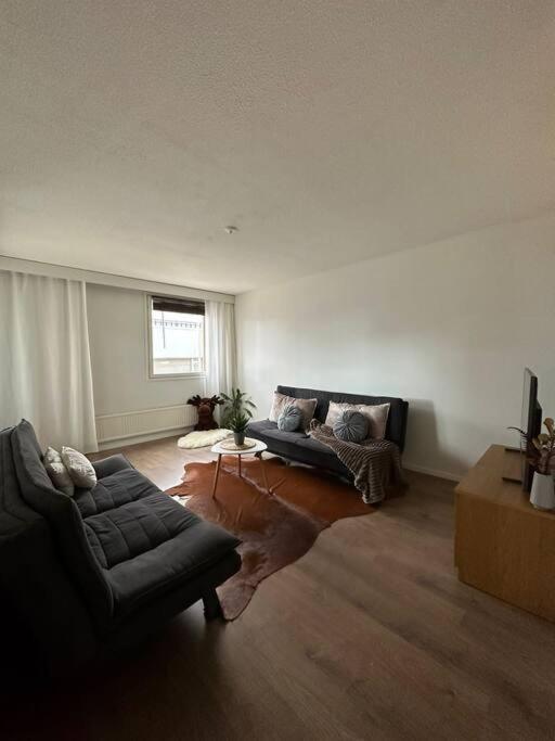 Central City Suite - King Size Bed - Wi-Fi - Sauna Ροβανιέμι Εξωτερικό φωτογραφία